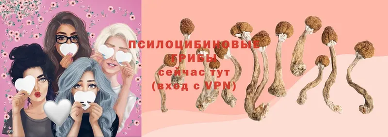 Псилоцибиновые грибы Magic Shrooms  Бирск 